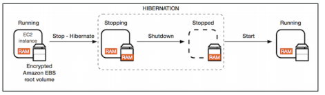 image-20200418125912199