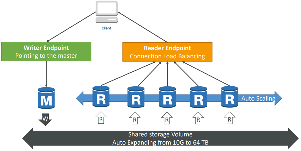 image-20200420144512639